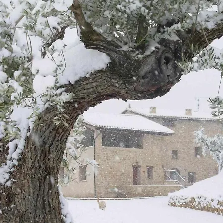 Restaurante Mas Del Rei