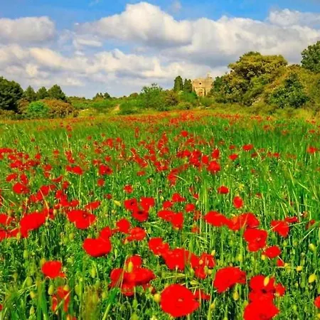 Guest house Restaurante Mas Del Rei Calaceite