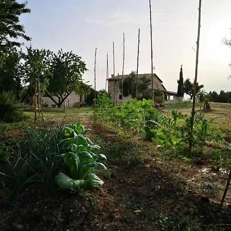 Restaurante Mas Del Rei Guest house