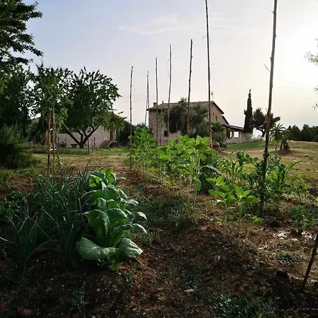 Restaurante Mas Del Rei Calaceite