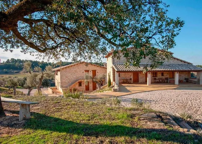 Restaurante Mas Del Rei 4*